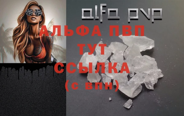 спиды Абаза